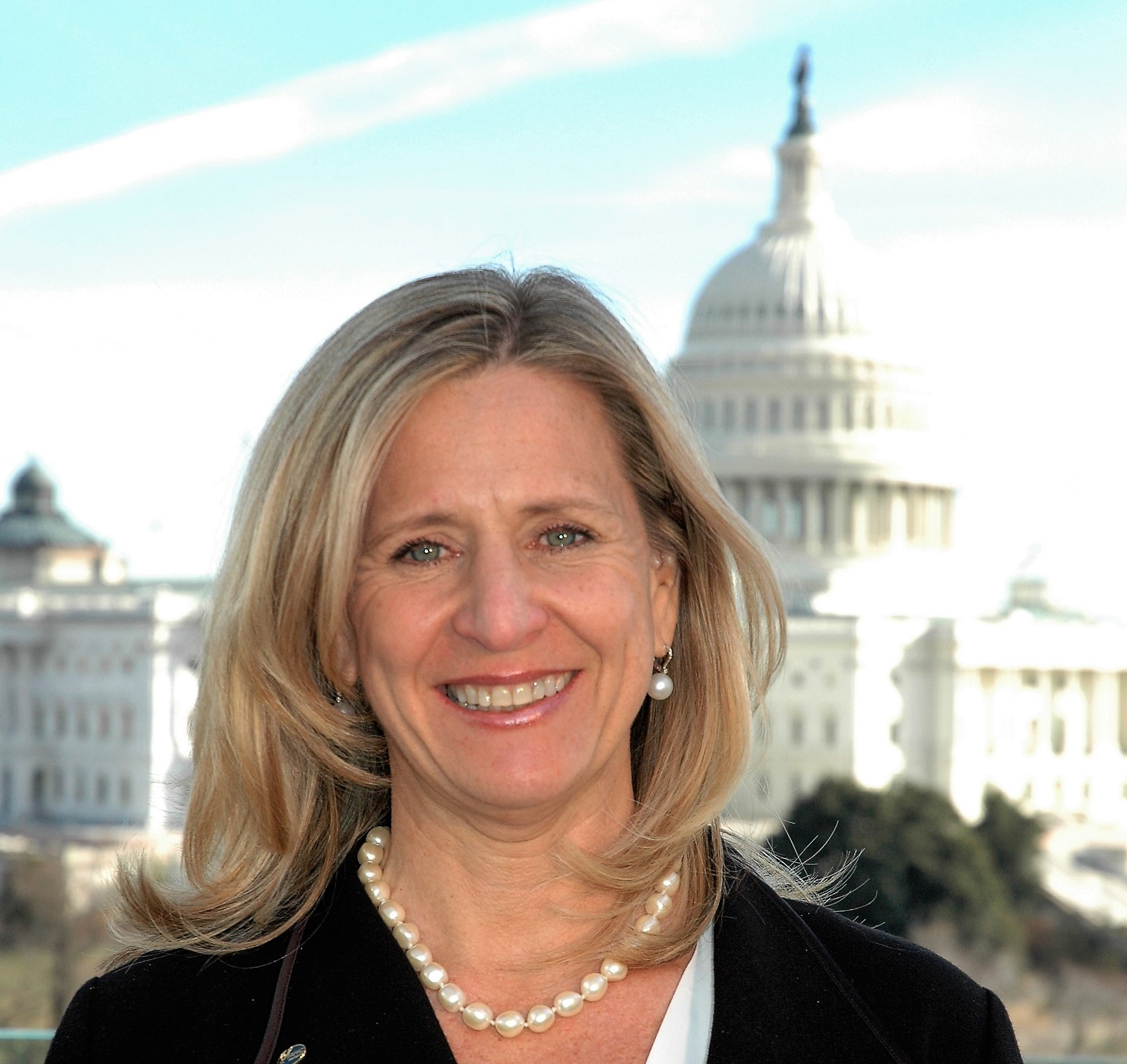 Diane Boyle, Senior Vice President of Government Relations, NAIFA